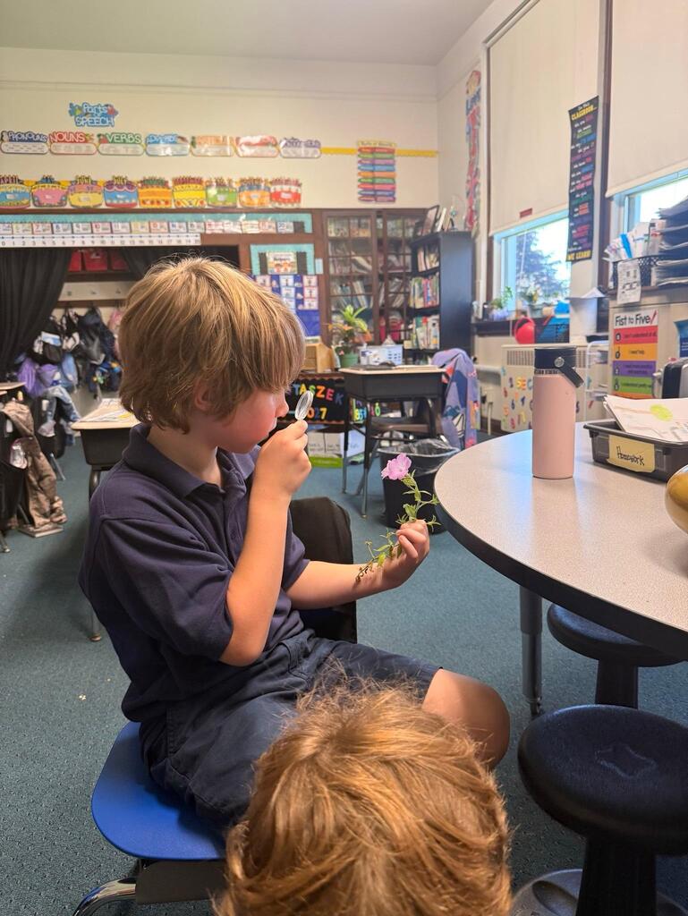 student in grade 2 observing with a magnifying glass in science