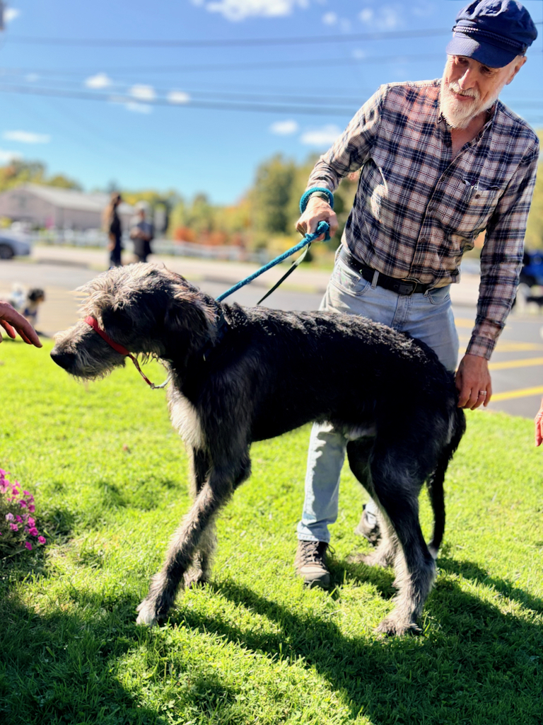 pets and owners for pet blessing