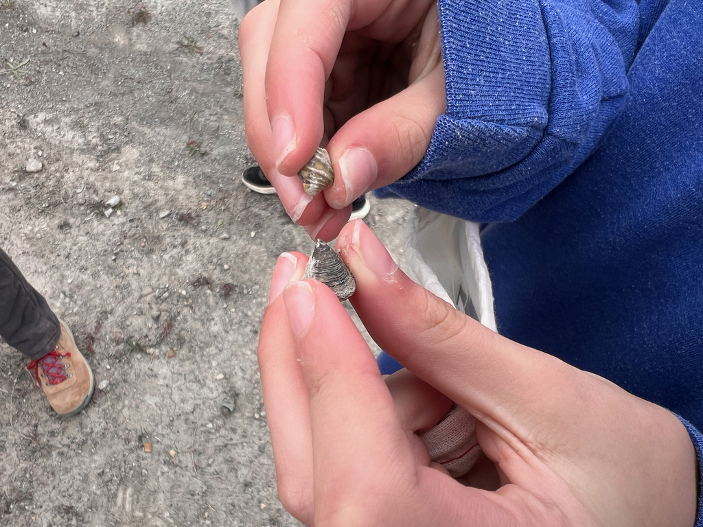students hunt for fosssils on school field trip