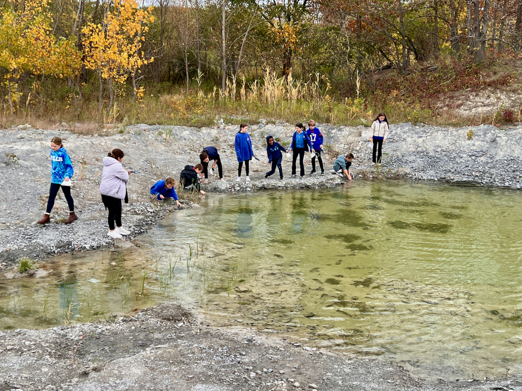 students hunt for fosssils on school field trip