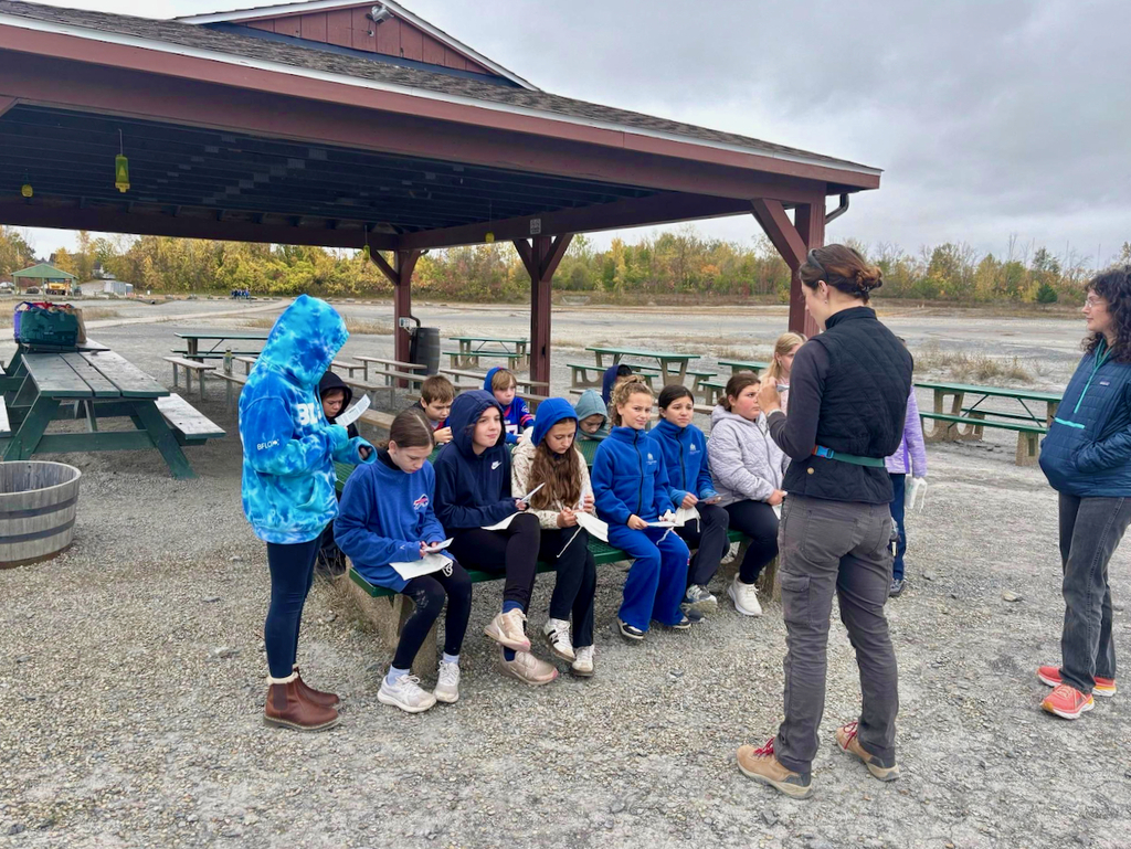 students hunt for fosssils on school field trip