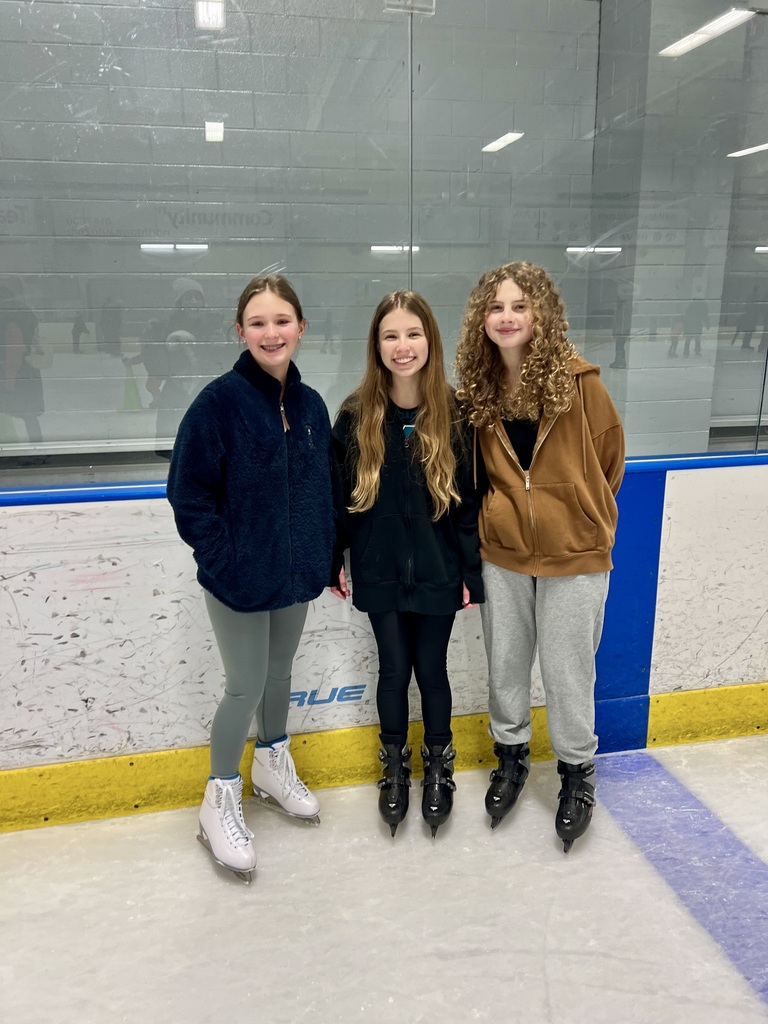 HSA Ice Skating Party