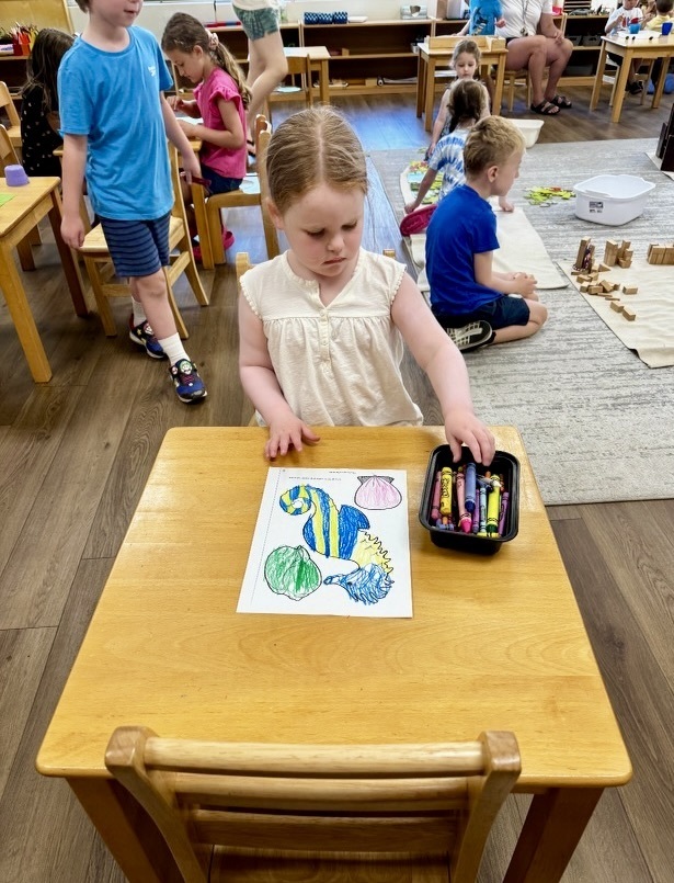 Montessori Camp