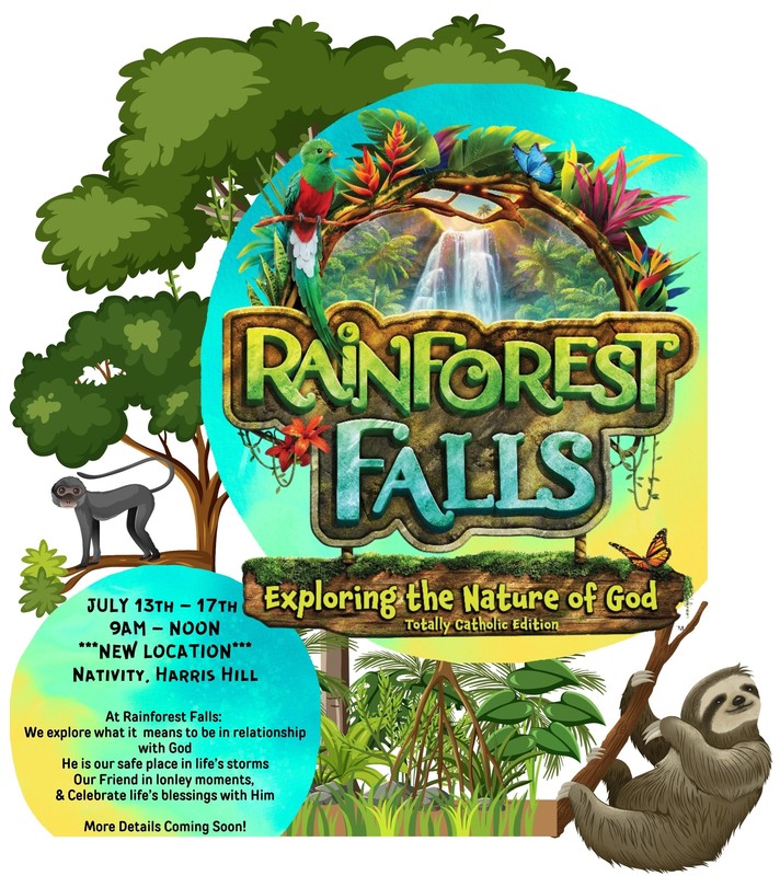 VBS Rainforest Falls