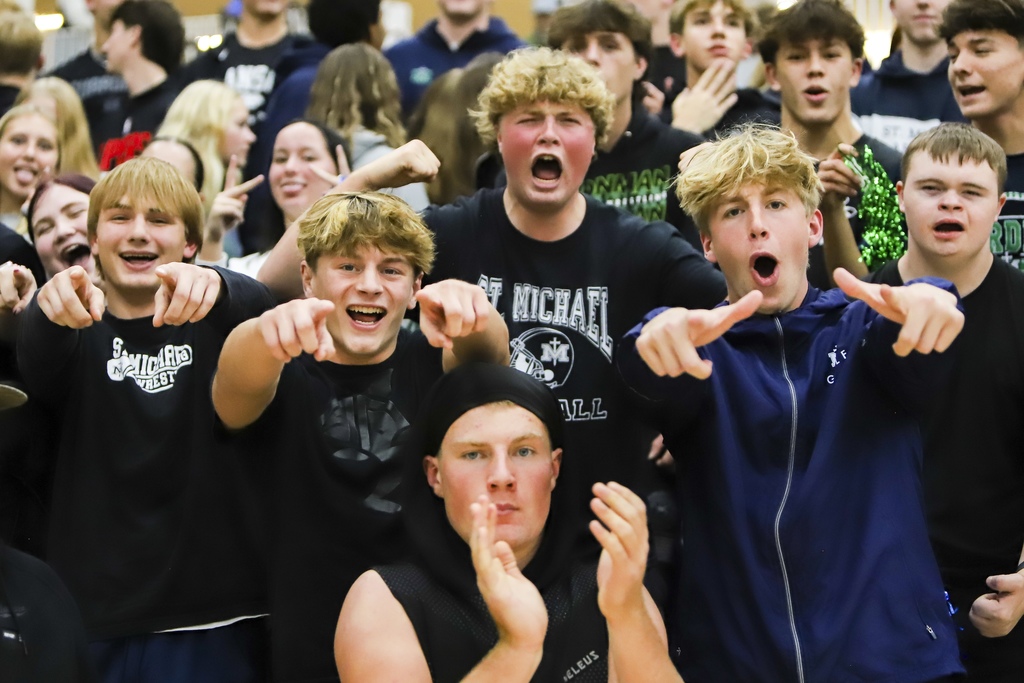 volleyball districts