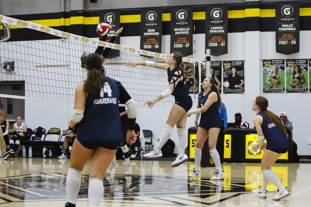 volleyball districts