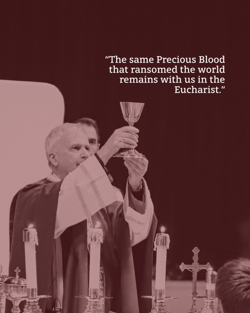 The image is of Bishop Johnston raising a chalice during Mass and the text says, "The same Precious Blood that ransomed the world remains with us in the Eucharist."
