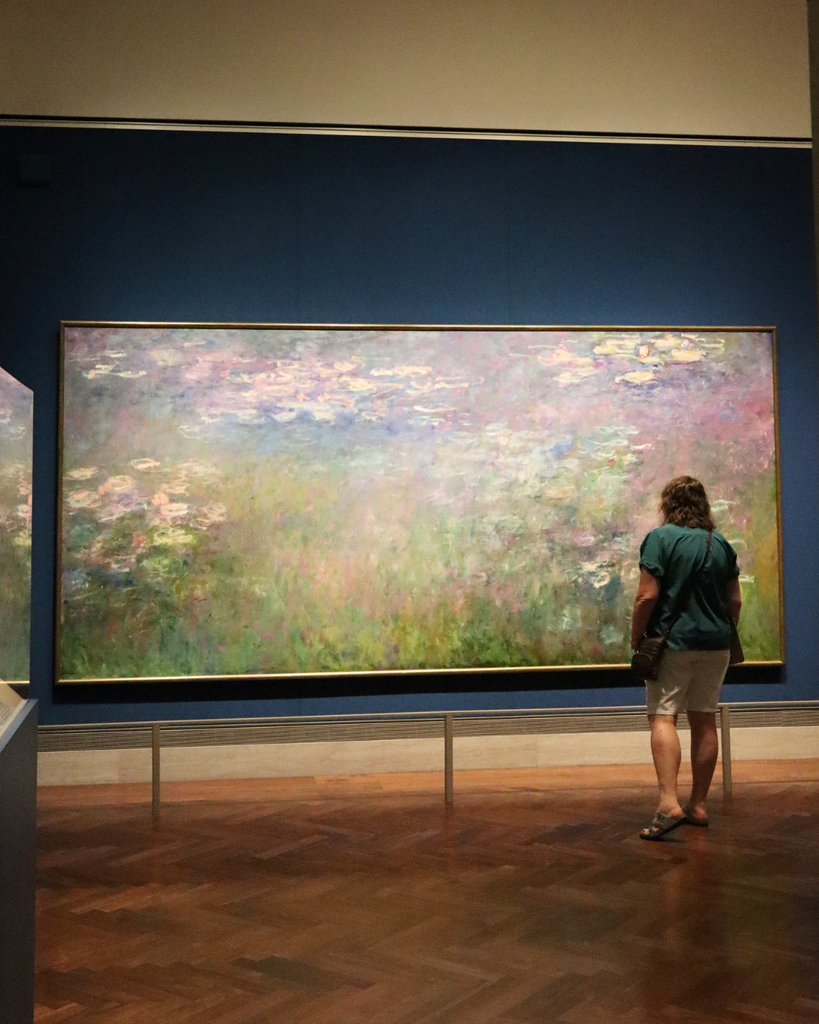 Admiring art