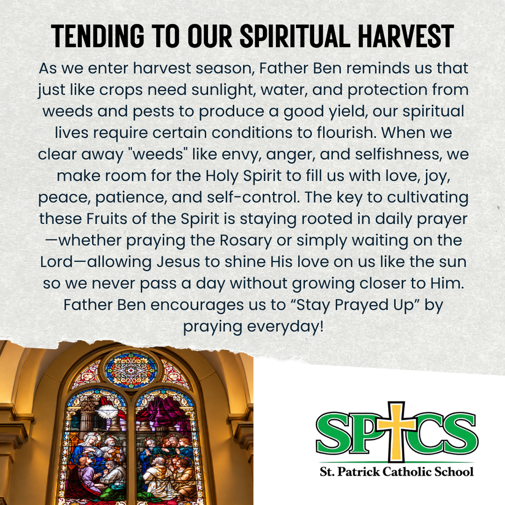homily