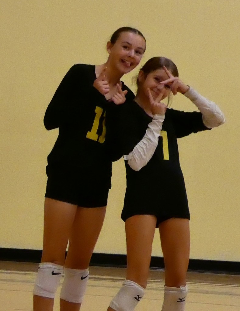 VB