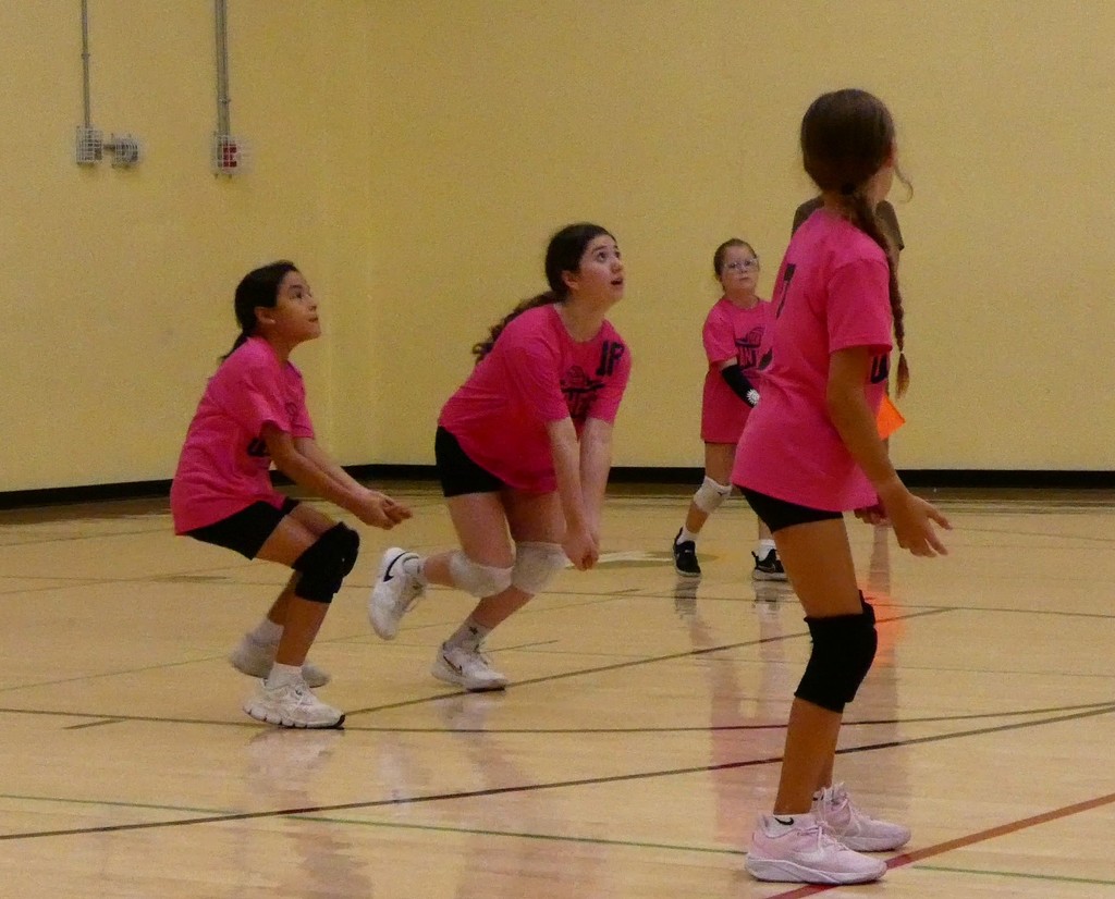 VB