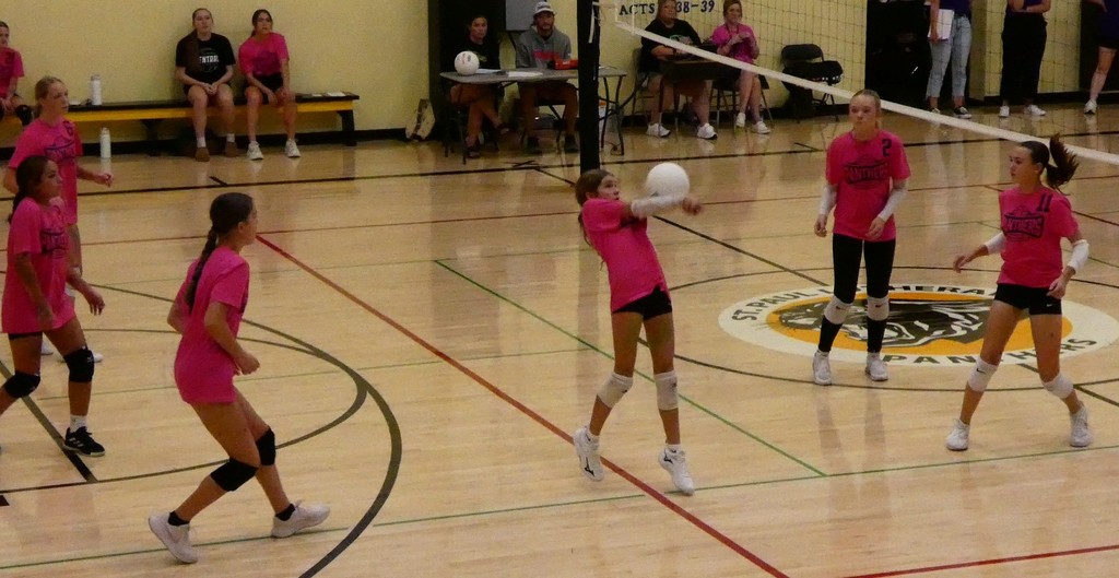 VB