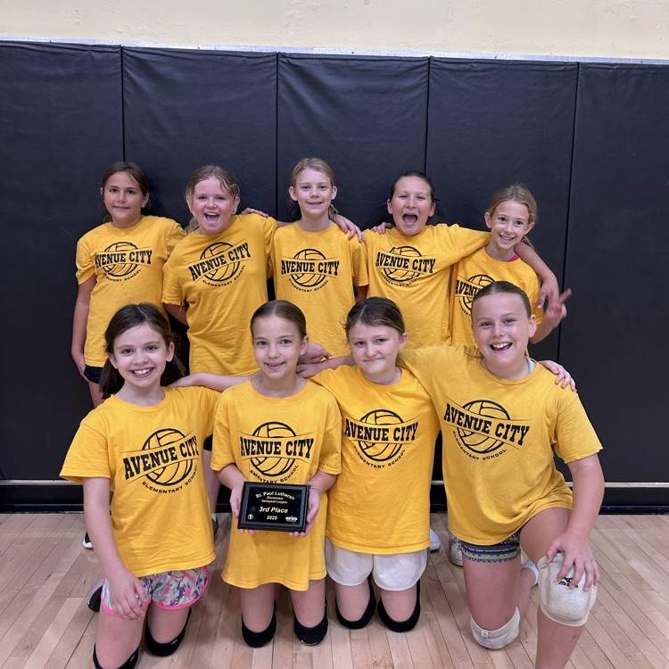 volleyball