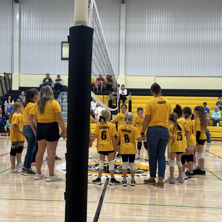 Vball