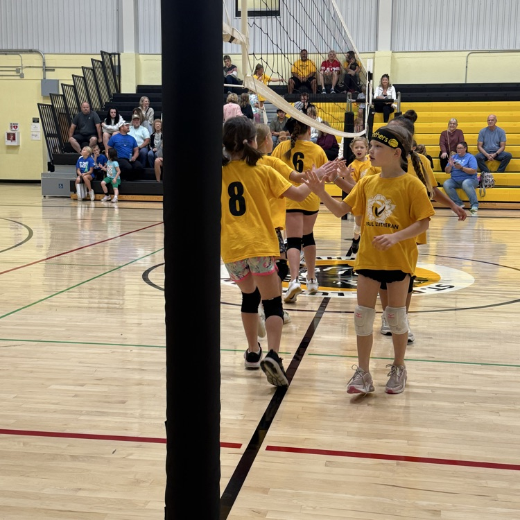 Vball
