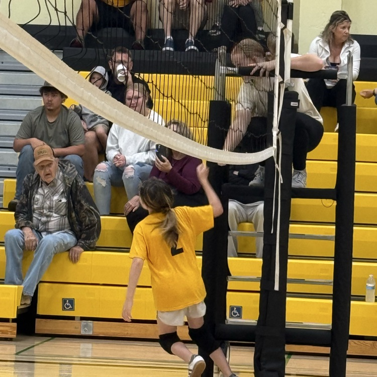 Vball