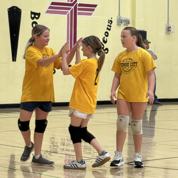 Vball