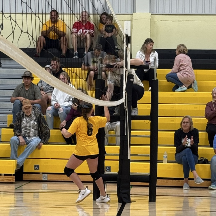 Vball