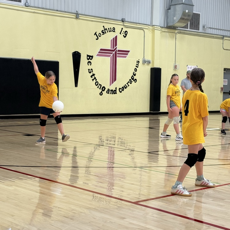 Vball