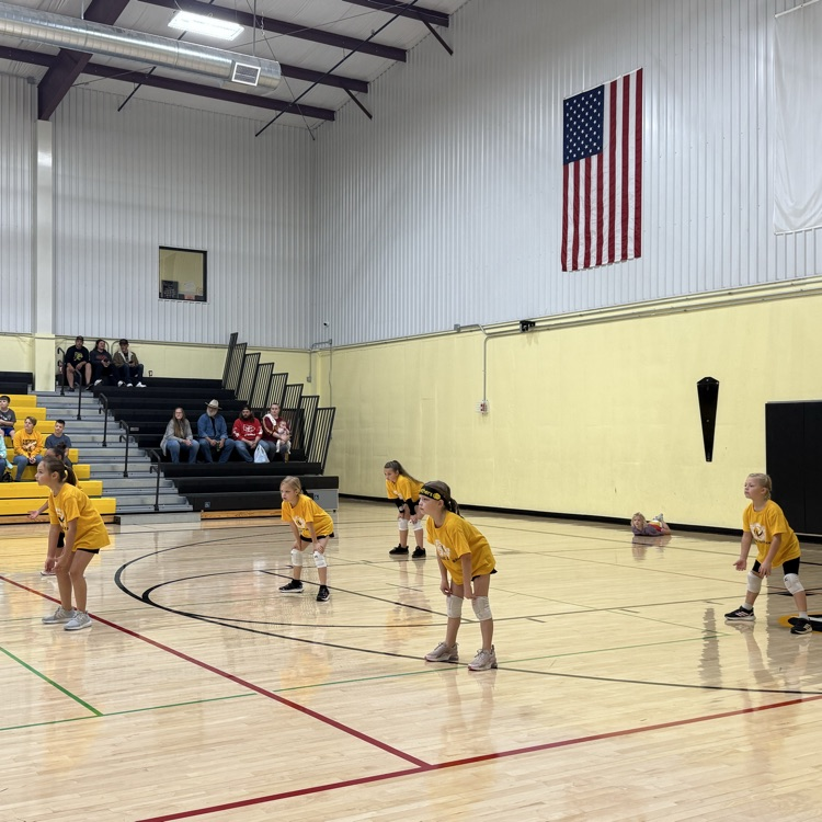 Vball