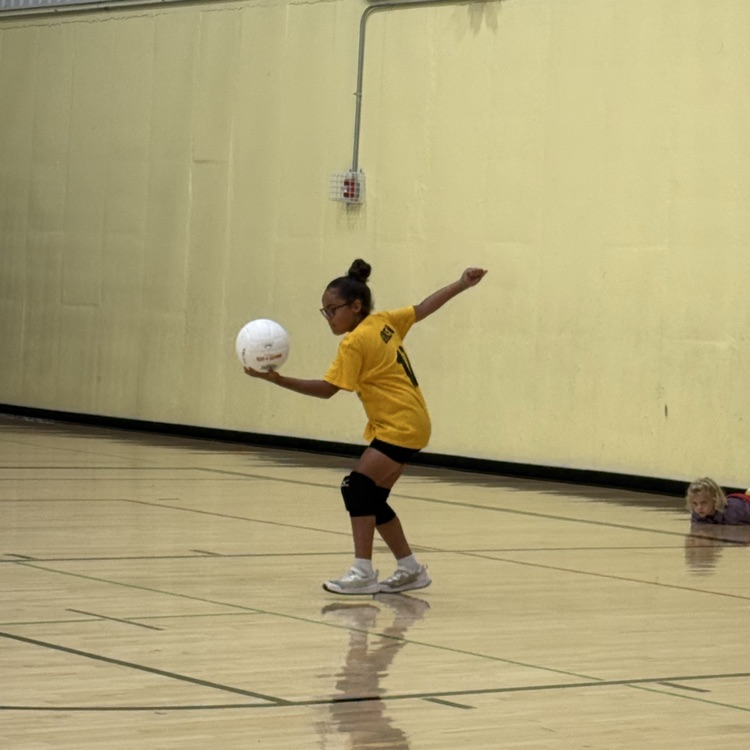 Vball