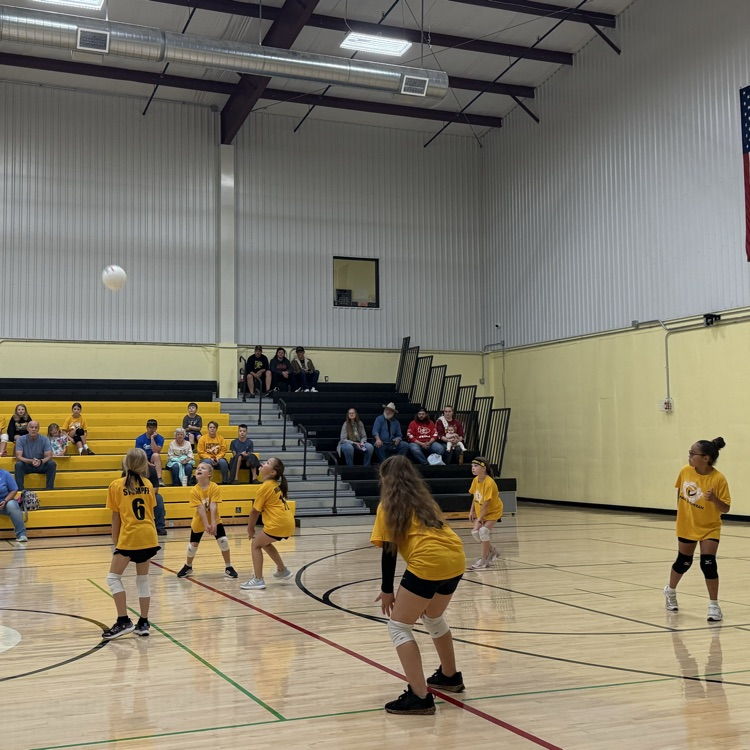 Vball