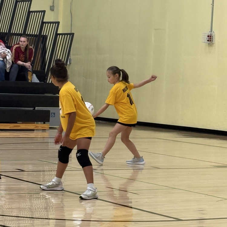 Vball