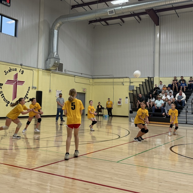 Vball
