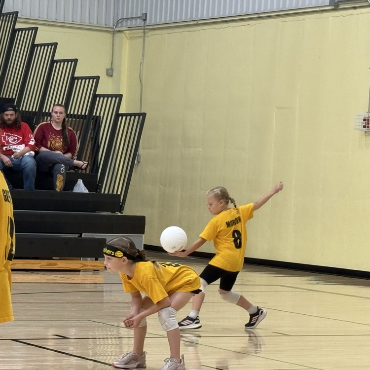 Vball