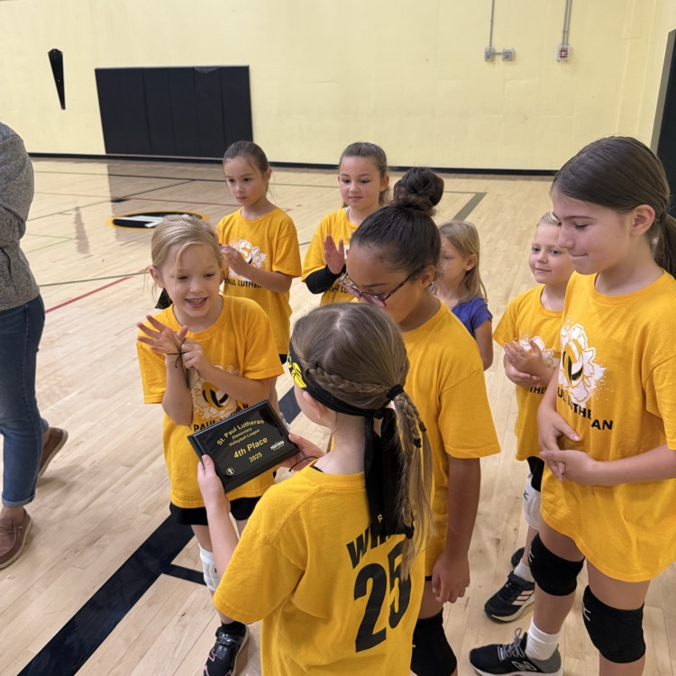 Vball