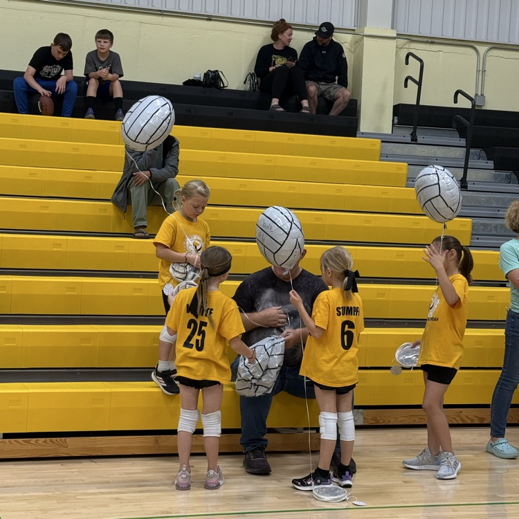 Vball