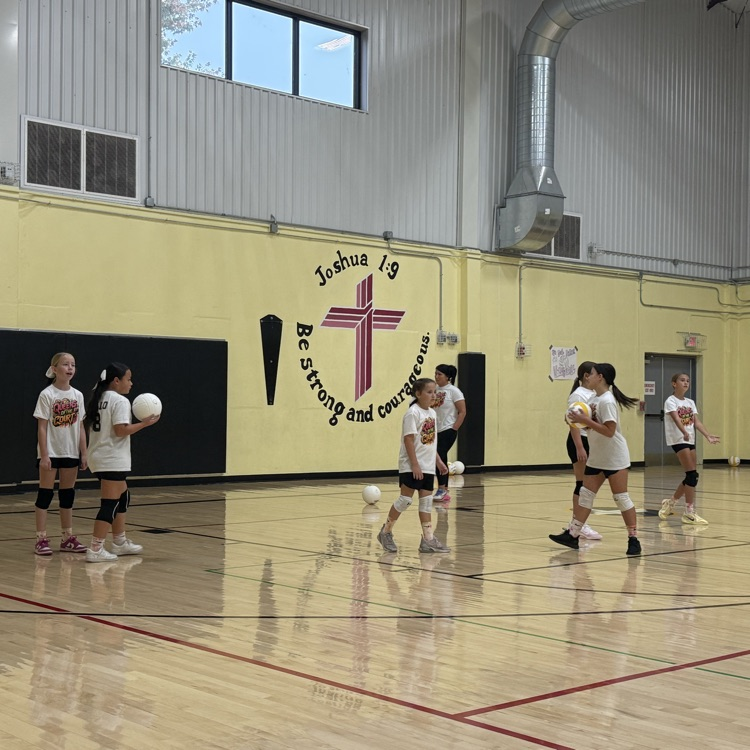 Vball