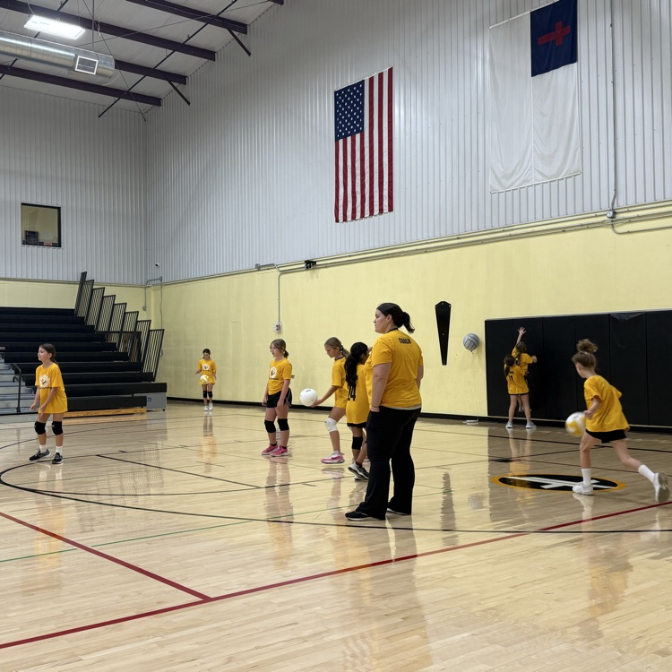 Vball
