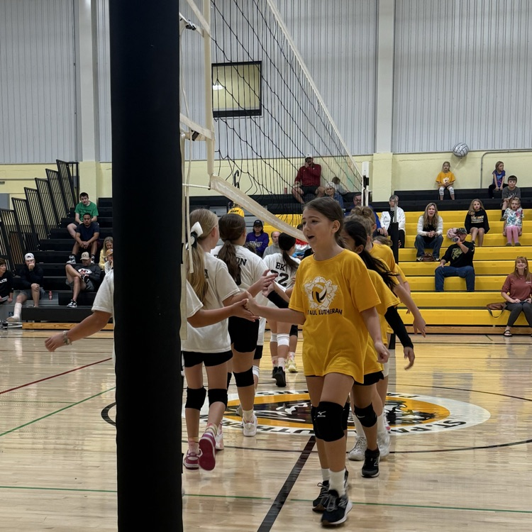 Vball