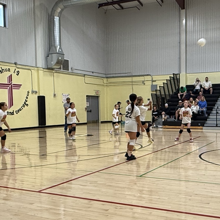 Vball
