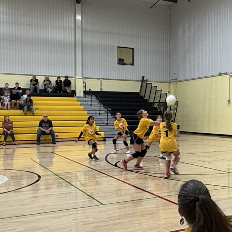 Vball