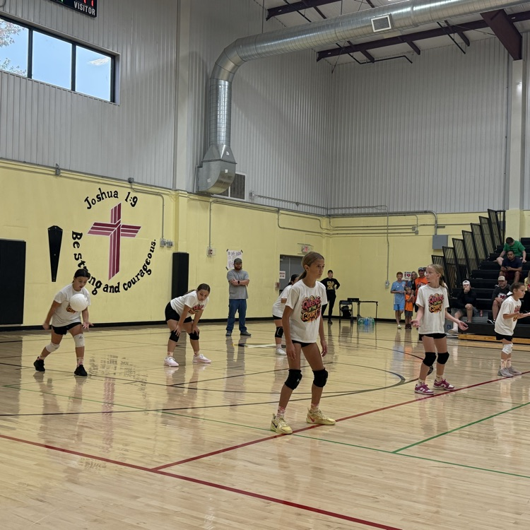Vball