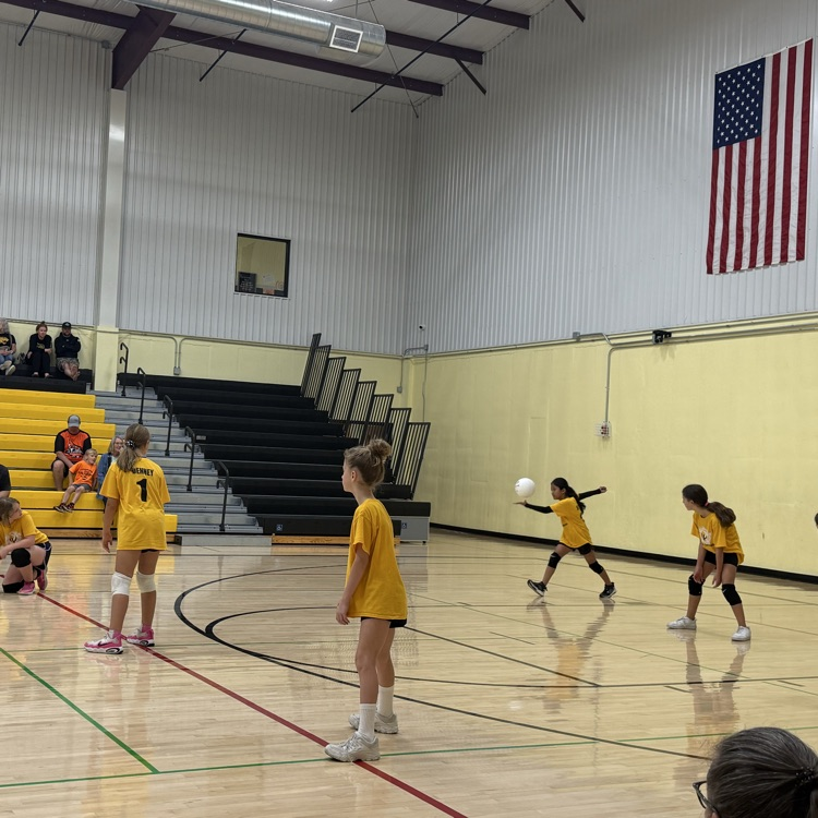 Vball