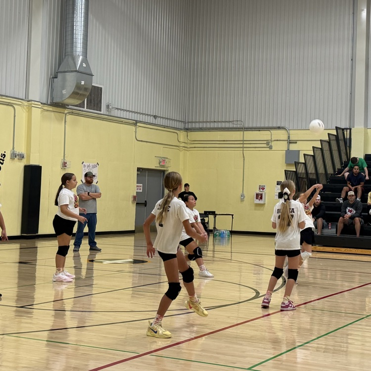 Vball