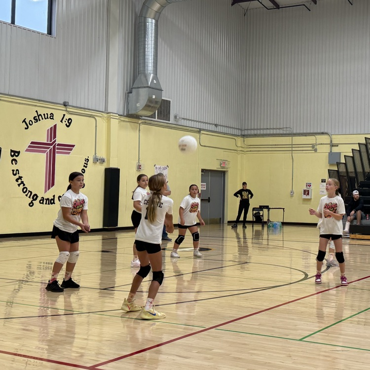 Vball