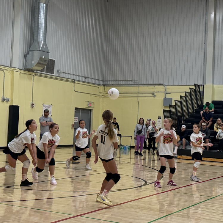 Vball