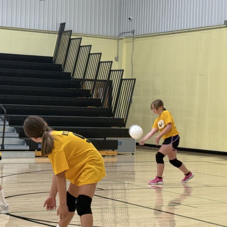 Vball