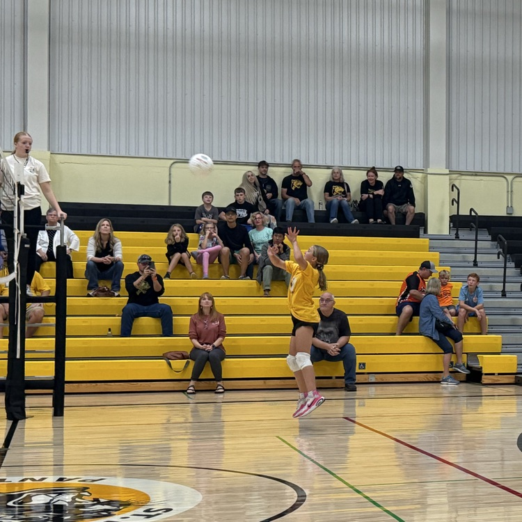 Vball