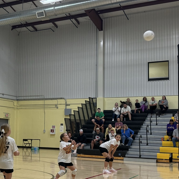 Vball