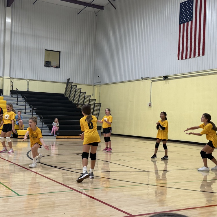 Vball