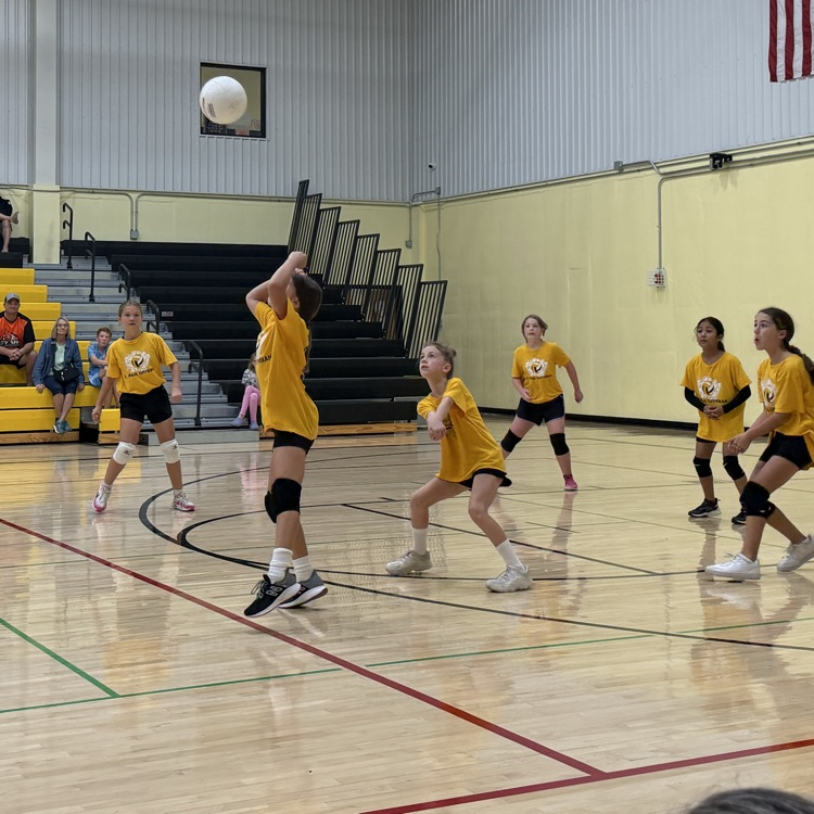 Vball