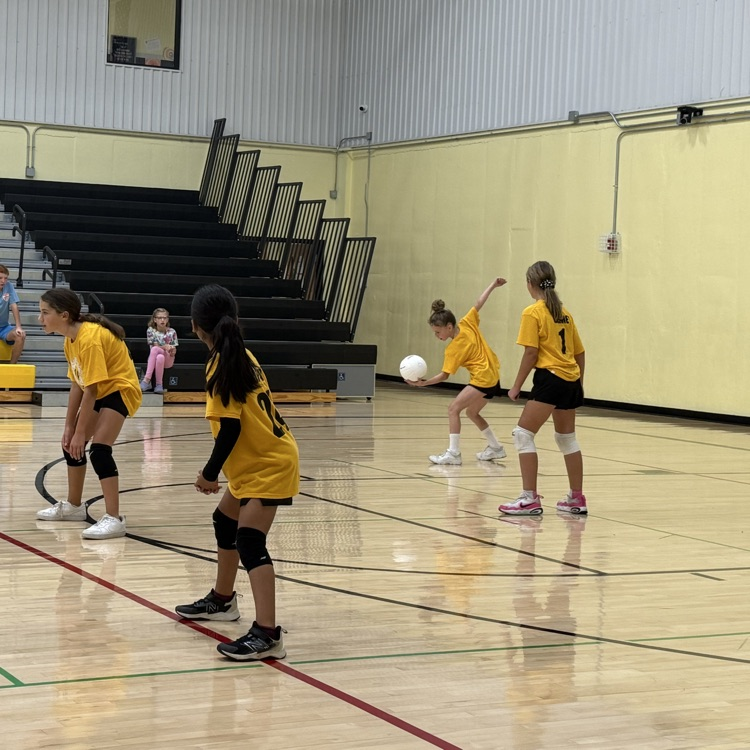 Vball
