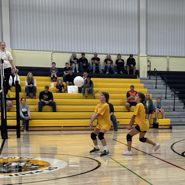 Vball