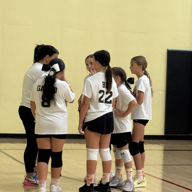 Vball