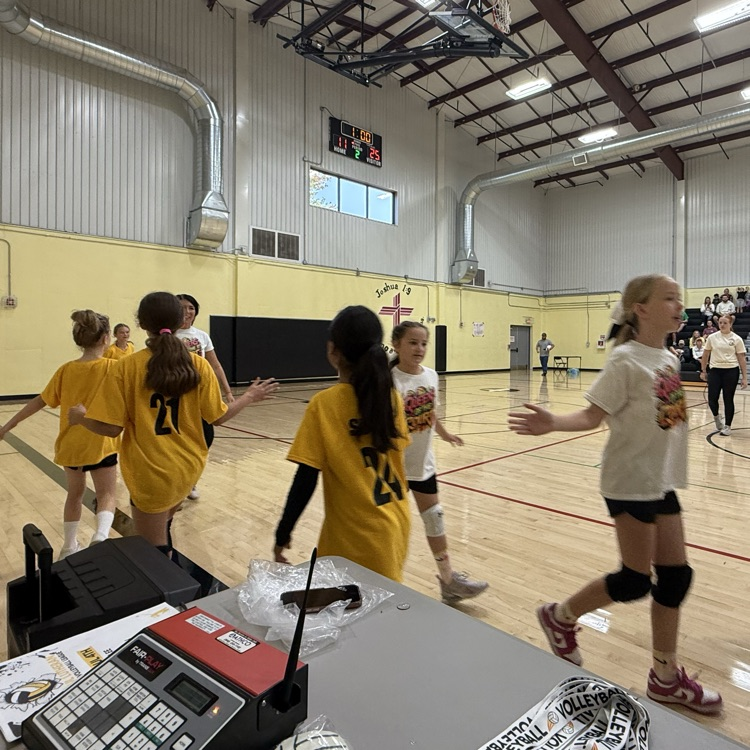 Vball